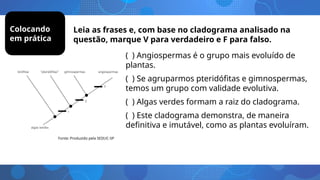 Colocando
em prática
Leia as frases e, com base no cladograma analisado na
questão, marque V para verdadeiro e F para falso.
( ) Angiospermas é o grupo mais evoluído de
plantas.
( ) Se agruparmos pteridófitas e gimnospermas,
temos um grupo com validade evolutiva.
( ) Algas verdes formam a raiz do cladograma.
( ) Este cladograma demonstra, de maneira
definitiva e imutável, como as plantas evoluíram.
Fonte: Produzido pela SEDUC-SP
 