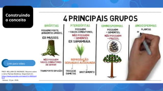 PROF. WILLIAM DE ANDRADE. Resumo sobre
o reino Plantae-Botânica. Disponível em:
https://www.youtube.com/watch?v=l80Dqo4
fLrE
. Acesso: 10 jan. 2026.
Link para vídeo
Construindo
o conceito
 