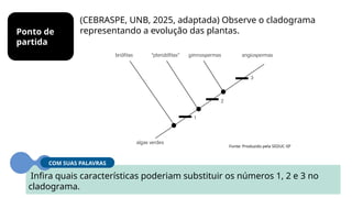(CEBRASPE, UNB, 2025, adaptada) Observe o cladograma
representando a evolução das plantas.
Ponto de
partida
Infira quais características poderiam substituir os números 1, 2 e 3 no
cladograma.
COM SUAS PALAVRAS
Fonte: Produzido pela SEDUC-SP
 