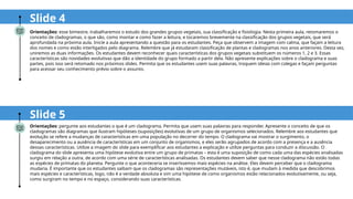 Orientações: pergunte aos estudantes o que é um cladograma. Permita que usem suas palavras para responder. Apresente o conceito de que os
cladogramas são diagramas que ilustram hipóteses (suposições) evolutivas de um grupo de organismos selecionados. Relembre aos estudantes que
evolução se refere a mudanças de características em uma população no decorrer do tempo. O cladograma vai mostrar o surgimento, o
desaparecimento ou a ausência de características em um conjunto de organismos, e eles serão agrupados de acordo com a presença e a ausência
dessas características. Utilize a imagem do slide para exemplificar aos estudantes a explicação e utilize perguntas para conduzir a discussão. O
cladograma do slide apresenta uma hipótese evolutiva entre um grupo de primatas – esta é uma suposição de como cada uma das espécies analisadas
surgiu em relação a outra, de acordo com uma série de características analisadas. Os estudantes devem saber que nesse cladograma não estão todas
as espécies de primatas do planeta. Pergunte o que aconteceria se inseríssemos mais espécies na análise. Eles devem perceber que o cladograma
mudaria. É importante que os estudantes saibam que os cladogramas são representações mutáveis, isto é, que mudam à medida que descobrimos
mais espécies e características, logo, não é a verdade absoluta e sim uma hipótese de como organismos estão relacionados evolutivamente, ou seja,
como surgiram no tempo e no espaço, considerando suas características.
Slide 4
Orientações: esse bimestre, trabalharemos o estudo dos grandes grupos vegetais, sua classificação e fisiologia. Nesta primeira aula, retomaremos o
conceito de cladogramas, o que são, como montar e como fazer a leitura, e tocaremos brevemente na classificação dos grupos vegetais, que será
aprofundada na próxima aula. Inicie a aula apresentando a questão para os estudantes. Peça que observem a imagem com calma, que façam a leitura
dos nomes e como estão interligados pelo diagrama. Relembre que já estudaram classificação de plantas e cladogramas nos anos anteriores. Desta vez,
uniremos as duas informações. Os estudantes devem reconhecer quais características dos grupos vegetais substituem os números 1, 2 e 3. Essas
características são novidades evolutivas que dão a identidade do grupo formado a partir dela. Não apresente explicações sobre o cladograma e suas
partes, pois isso será retomado nos próximos slides. Permita que os estudantes usem suas palavras, troquem ideias com colegas e façam perguntas
para acessar seu conhecimento prévio sobre o assunto.
Slide 5
 