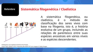 Sistemática filogenética / Cladística
Relembre
Cladograma com hipótese evolutiva de primatas.
Fonte: OGO; GODOY, 2016. Produzido pela SEDUC-SP com imagens © Getty Images.
A sistemática filogenética, ou
cladística, é o método de
classificação dos seres vivos com
base na filogenia, isto é, a história
evolutiva de um grupo, incluindo as
relações de parentesco entre suas
espécies ancestrais em vários níveis
e as espécies descendentes.
 
