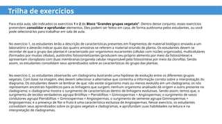 Trilha de exercícios
Para esta aula, são indicados os exercícios 1 e 2 do Bloco “Grandes grupos vegetais”. Dentro desse conjunto, esses exercícios
pretendem consolidar e aprofundar elementos. Eles podem ser feitos em casa, de forma autônoma pelos estudantes, ou você
pode selecioná-los para trabalhar em sala de aula.
No exercício 1, os estudantes lerão a descrição de características presentes em fragmentos de material biológico enviado a um
laboratório e deverão indicar quais das quatro amostras se referem a material oriundo de planta. Os estudantes devem se
recordar de que o grupo das plantas é caracterizado por organismos eucariontes (células com núcleo organizado), multicelulares
(formados por muitas células), autótrofos fotossintetizantes (produzem seu próprio alimento por meio da fotossíntese) e
apresentam cloroplasto com duas membranas (organela celular responsável pela fotossíntese por meio da clorofila). Sendo
assim, os estudantes consolidam seus aprendizados sobre as características do grupo das plantas.
No exercício 2, os estudantes observarão um cladograma ilustrando uma hipótese de evolução entre os diferentes grupos
vegetais. Com base na imagem, eles devem selecionar a alternativa que contenha a informação correta sobre a interpretação do
diagrama. Os estudantes devem se lembrar de que: não existe organismo mais ou menos evoluído em um cladograma; os nós
representam ancestrais hipotéticos para as linhagens que surgem; nenhum organismo analisado dá origem a outro presente no
cladograma; o cladograma mostra o surgimento de características dentro de linhagens evolutivas. Sendo assim, temos que, o
surgimento de tecidos verdadeiros agrupa Briófitas + Pteridófitas + Gimnospermas + Angiospermas; o surgimento de vasos
condutores agrupa Pteridófitas + Gimnospermas + Angiospermas; o surgimento de semente agrupa Gimnospermas +
Angiospermas; e a presença de flor e fruto é uma característica exclusiva de Angiospermas. Nesse exercício, os estudantes
consolidam seus aprendizados sobre os grupos vegetais e cladogramas, e aprofundam suas habilidades na leitura e na
interpretação de cladogramas.
 