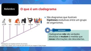 • São diagramas que ilustram
hipóteses evolutivas entre um grupo
de organismos.
O que é um cladograma
Relembre
Cladograma com hipótese evolutiva de primatas.
Fonte: OGO; GODOY, 2016. Produzido pela SEDUC-SP com imagens © Getty Images.
Cladogramas não são verdades
absolutas e mudam à medida que
novas informações são descobertas.
DESTAQUE
 