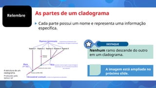 As partes de um cladograma
• Cada parte possui um nome e representa uma informação
específica.
A estrutura de um
cladograma.
Produzido pela
SEDUC-SP
Nenhum ramo descende do outro
em um cladograma.
DESTAQUE
A imagem está ampliada no
próximo slide.
Relembre
 