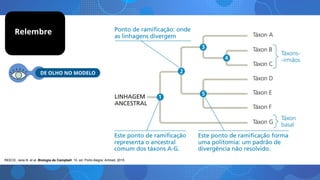 DE OLHO NO MODELO
Relembre
REECE, Jane B. et al. Biologia de Campbell. 10. ed. Porto Alegre: Artmed, 2015.
 