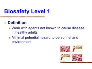 Biosafety Level 1
 Definition
 Work with agents not known to cause disease
in healthy adults
 Minimal potential hazard to personnel and
environment
 