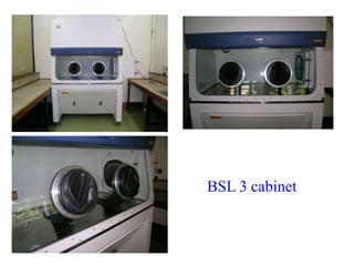 BSL 3 cabinet
 