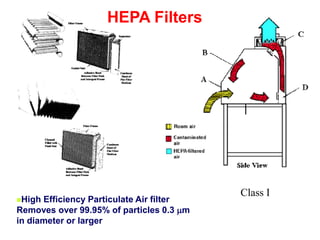Class I
High Efficiency Particulate Air filter
Removes over 99.95% of particles 0.3 mm
in diameter or larger
HEPA Filters
 