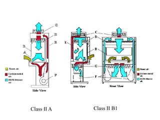 Class II A Class II B1
 