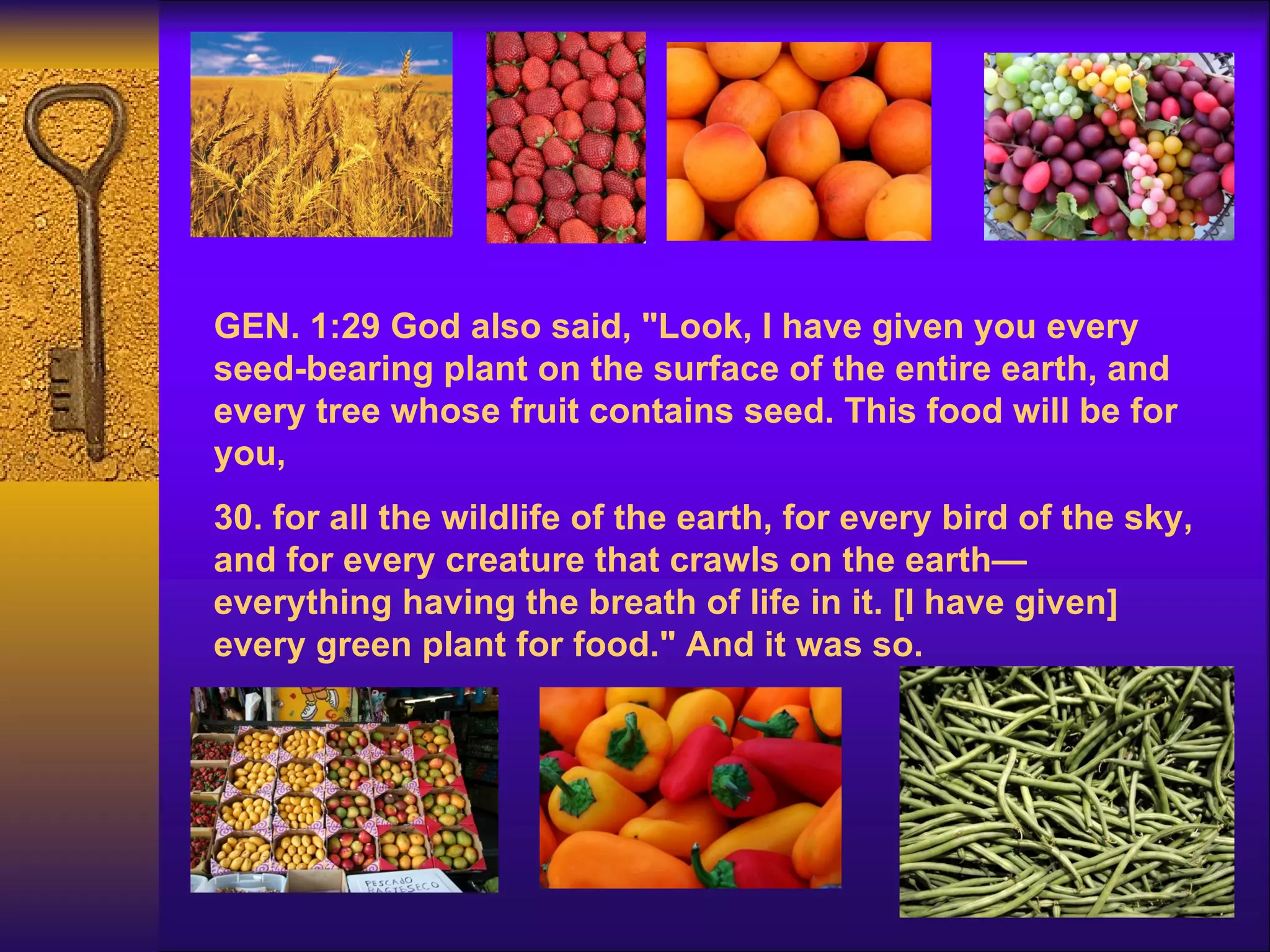 Creation Vs Evolution | PPT