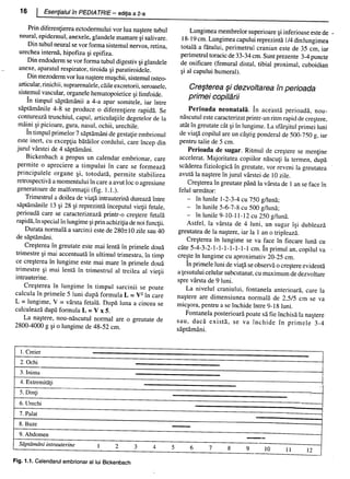 157414577-Esentialul-in-Pediatrie-Ciofu.pdf