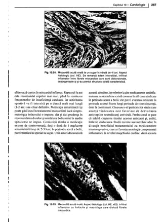 157414577-Esentialul-in-Pediatrie-Ciofu.pdf