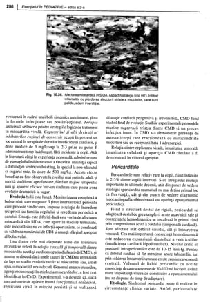 157414577-Esentialul-in-Pediatrie-Ciofu.pdf