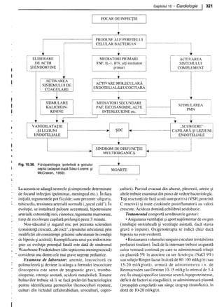 157414577-Esentialul-in-Pediatrie-Ciofu.pdf