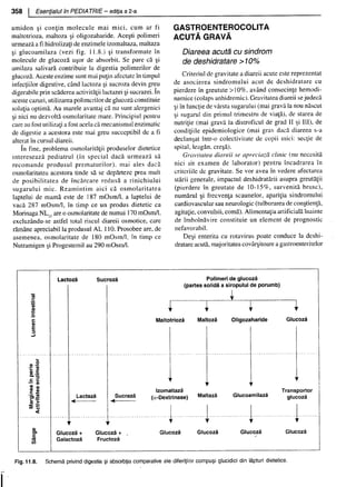 157414577-Esentialul-in-Pediatrie-Ciofu.pdf