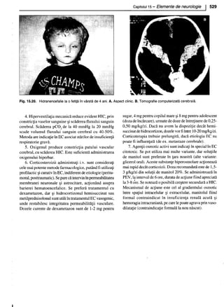 157414577-Esentialul-in-Pediatrie-Ciofu.pdf