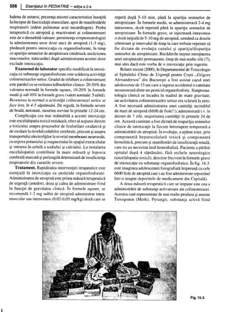 157414577-Esentialul-in-Pediatrie-Ciofu.pdf