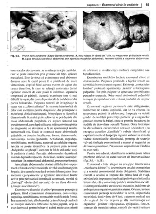 157414577-Esentialul-in-Pediatrie-Ciofu.pdf