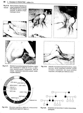 157414577-Esentialul-in-Pediatrie-Ciofu.pdf