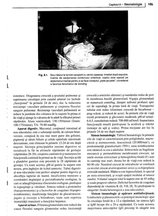 157414577-Esentialul-in-Pediatrie-Ciofu.pdf