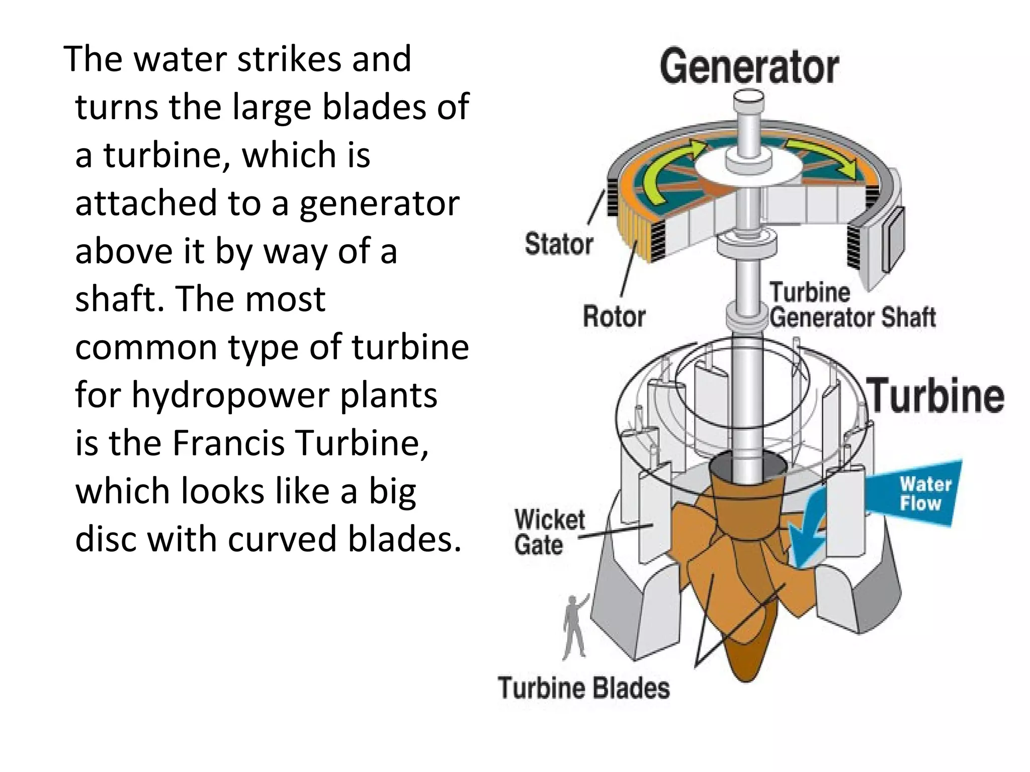 The water strikes and 
turns the large blades of 
a turbine, which is 
attached to a generator 
above it by way of a 
shaft. The most 
common type of turbine 
for hydropower plants 
is the Francis Turbine, 
which looks like a big 
disc with curved blades. 
 