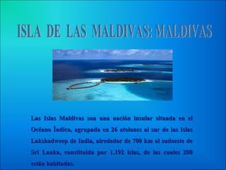 Las Islas Maldivas son una nación insular situada en elLas Islas Maldivas son una nación insular situada en el
Océano Índico, agrupada en 26 atolones al sur de las IslasOcéano Índico, agrupada en 26 atolones al sur de las Islas
Lakshadweep de India, alrededor de 700 km al sudoeste deLakshadweep de India, alrededor de 700 km al sudoeste de
Sri Lanka, constituida por 1.192 islas, de las cuales 200Sri Lanka, constituida por 1.192 islas, de las cuales 200
están habitadas.están habitadas.
 