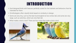 1582498838985_1582498821266_Bird features.pptx