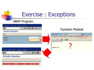 Exercise : Exceptions ? ABAP Program Function Module 