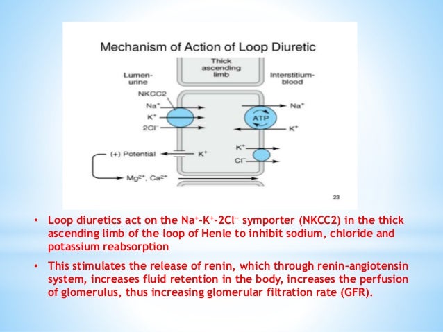 Furosemide Mechanism Of Action - Management of severe hyperkalemia in the post-Kayexalate era - Furosemide mechanism of action (nursing pharmacology)furosemide (also known as lasix) is one of the most common medications you'll give during nursing.