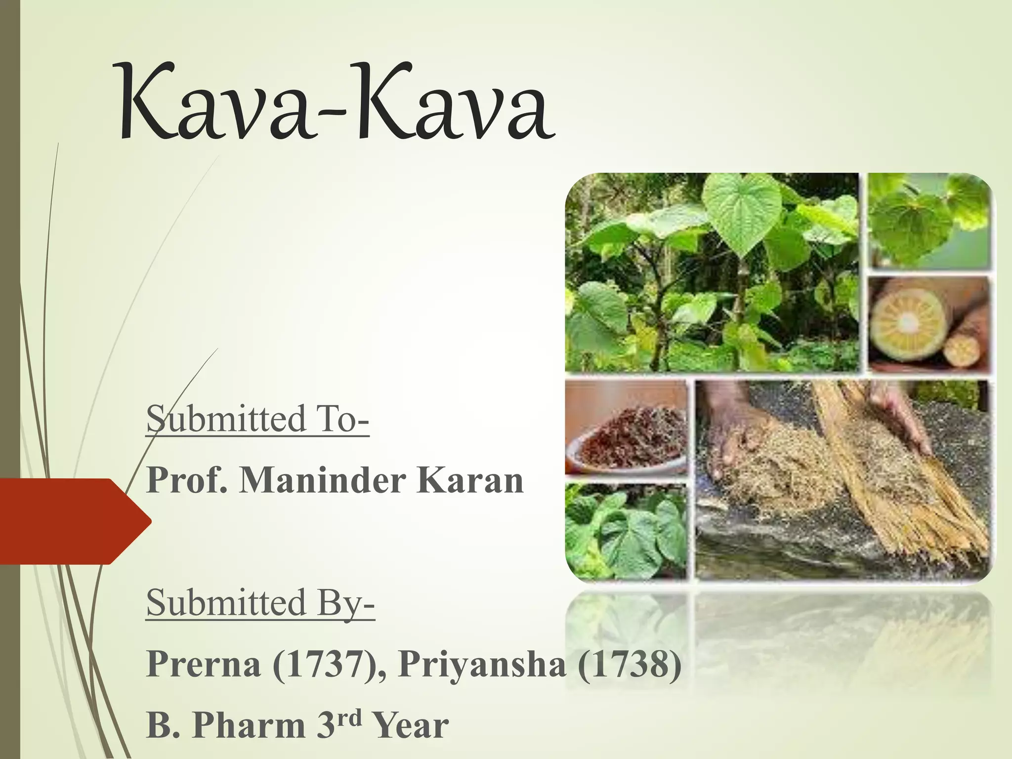 KavaKava Root Benefits, Uses, Interactions and Safety PPT