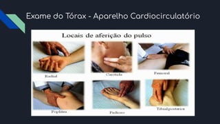 Exame do Tórax - Aparelho Cardiocirculatório
 
