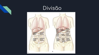 Divisão
 