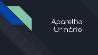Aparelho
Urinário
 