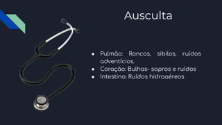 Ausculta
● Pulmão: Roncos, sibilos, ruídos
adventícios.
● Coração: Bulhas- sopros e ruídos
● Intestino: Ruídos hidroaéreos
 