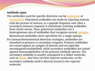 Antibody types
The antibodies used for specific detection can be polyclonal or
monoclonal. Polyclonal antibodies are made by injecting animals
with the protein of interest, or a peptide fragment and, after a
secondary immune response is stimulated, isolating antibodies
from whole serum. Thus, polyclonal antibodies are a
heterogeneous mix of antibodies that recognize several epitopes.
Monoclonal antibodies show specificity for a single epitope.
For immunohistochemical detection strategies, antibodies are
classified as primary or secondary reagents. Primary antibodies
are raised against an antigen of interest and are typically
unconjugated (unlabelled), while secondary antibodies are raised
against immunoglobulins of the primary antibody species. The
secondary antibody is usually conjugated to a linker molecule,
such as biotin, that then recruits reporter molecules, or the
secondary antibody itself is directly bound to the reporter
molecule.
 