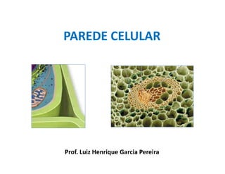 PAREDE CELULAR
Prof. Luiz Henrique Garcia Pereira
 