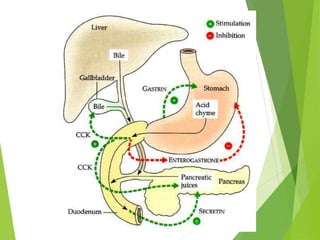 Secretin Hormones of the digestive system.ppt