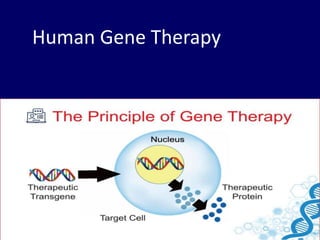 Human Gene Therapy
 