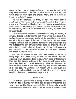 presently they come up to the surface and pour out the mold which
they have swallowed in the form of what we call a worm-cast, after
which they go down again and swallow more, and so on until the
burrow is sufficiently deep.
You will be surprised, we think, to hear how much earth is
swallowed by the worms in this way. Just think of it. Every year, in
every acre of agricultural land all over the country, worms bring up
from below, on an average, and spread over the surface in the form
of worm-casts, no less than fourteen tons of earth, or about seven
large cartloads!
This is why worms are such useful creatures. They are always, as
it were, digging and plowing the soil. After a time the earth at the
surface becomes exhausted. Nearly all the nourishment is sucked
out of it by the roots of the plants. But the worms are always
bringing up fresh, rich, unused soil from below, and spreading it over
the surface in the form of what farmers call a top-dressing. They are
doing, in fact, exactly what we do when we dig our gardens or plow
our fields—burying the used-up soil that it may rest, and bringing up
fresh mold to take its place.
But, besides turning the soil over, they manure it; for almost
every night from early spring to late autumn worms are busy
dragging down leaves into their burrows. With some of these leaves
they line their tunnels, with some they close the entrances, and on
some they feed. And most of them decay before very long and turn
into leaf-mold, which is just about the very best manure that there
is. So you see, the worms do not merely turn the soil over, they
enrich it as well, and help very largely indeed to keep it in such a
condition that plants can continue to grow in it.
The Lugworm
The similar lugworm lives in sandy mud on the sea-shore; and
when the tide is out you may often see its casts in thousands. It is
very largely used by fishermen as bait. When it is carefully washed it
is really quite a handsome creature, for sometimes it is deep crimson
 