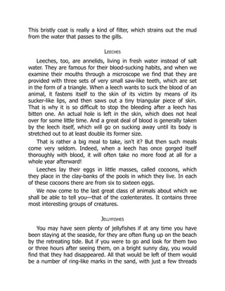 This bristly coat is really a kind of filter, which strains out the mud
from the water that passes to the gills.
Leeches
Leeches, too, are annelids, living in fresh water instead of salt
water. They are famous for their blood-sucking habits, and when we
examine their mouths through a microscope we find that they are
provided with three sets of very small saw-like teeth, which are set
in the form of a triangle. When a leech wants to suck the blood of an
animal, it fastens itself to the skin of its victim by means of its
sucker-like lips, and then saws out a tiny triangular piece of skin.
That is why it is so difficult to stop the bleeding after a leech has
bitten one. An actual hole is left in the skin, which does not heal
over for some little time. And a great deal of blood is generally taken
by the leech itself, which will go on sucking away until its body is
stretched out to at least double its former size.
That is rather a big meal to take, isn't it? But then such meals
come very seldom. Indeed, when a leech has once gorged itself
thoroughly with blood, it will often take no more food at all for a
whole year afterward!
Leeches lay their eggs in little masses, called cocoons, which
they place in the clay-banks of the pools in which they live. In each
of these cocoons there are from six to sixteen eggs.
We now come to the last great class of animals about which we
shall be able to tell you—that of the cœlenterates. It contains three
most interesting groups of creatures.
Jellyfishes
You may have seen plenty of jellyfishes if at any time you have
been staying at the seaside, for they are often flung up on the beach
by the retreating tide. But if you were to go and look for them two
or three hours after seeing them, on a bright sunny day, you would
find that they had disappeared. All that would be left of them would
be a number of ring-like marks in the sand, with just a few threads
 