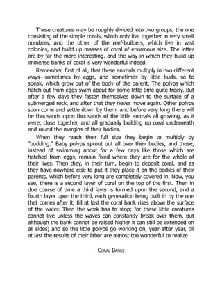 These creatures may be roughly divided into two groups, the one
consisting of the simple corals, which only live together in very small
numbers, and the other of the reef-builders, which live in vast
colonies, and build up masses of coral of enormous size. The latter
are by far the more interesting, and the way in which they build up
immense banks of coral is very wonderful indeed.
Remember, first of all, that these animals multiply in two different
ways—sometimes by eggs, and sometimes by little buds, so to
speak, which grow out of the body of the parent. The polyps which
hatch out from eggs swim about for some little time quite freely. But
after a few days they fasten themselves down to the surface of a
submerged rock, and after that they never move again. Other polyps
soon come and settle down by them, and before very long there will
be thousands upon thousands of the little animals all growing, as it
were, close together, and all gradually building up coral underneath
and round the margins of their bodies.
When they reach their full size they begin to multiply by
"budding." Baby polyps sprout out all over their bodies, and these,
instead of swimming about for a few days like those which are
hatched from eggs, remain fixed where they are for the whole of
their lives. Then they, in their turn, begin to deposit coral, and as
they have nowhere else to put it they place it on the bodies of their
parents, which before very long are completely covered in. Now, you
see, there is a second layer of coral on the top of the first. Then in
due course of time a third layer is formed upon the second, and a
fourth layer upon the third, each generation being built in by the one
that comes after it, till at last the coral bank rises above the surface
of the water. Then the work has to stop; for these little creatures
cannot live unless the waves can constantly break over them. But
although the bank cannot be raised higher it can still be extended on
all sides; and so the little polyps go working on, year after year, till
at last the results of their labor are almost too wonderful to realize.
Coral Banks
 