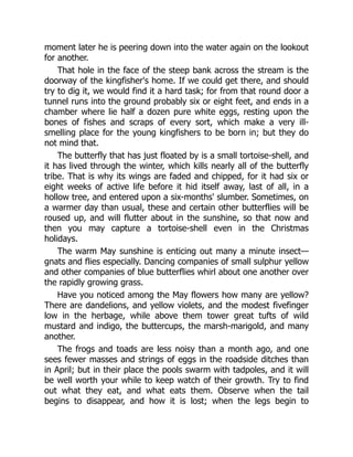 moment later he is peering down into the water again on the lookout
for another.
That hole in the face of the steep bank across the stream is the
doorway of the kingfisher's home. If we could get there, and should
try to dig it, we would find it a hard task; for from that round door a
tunnel runs into the ground probably six or eight feet, and ends in a
chamber where lie half a dozen pure white eggs, resting upon the
bones of fishes and scraps of every sort, which make a very ill-
smelling place for the young kingfishers to be born in; but they do
not mind that.
The butterfly that has just floated by is a small tortoise-shell, and
it has lived through the winter, which kills nearly all of the butterfly
tribe. That is why its wings are faded and chipped, for it had six or
eight weeks of active life before it hid itself away, last of all, in a
hollow tree, and entered upon a six-months' slumber. Sometimes, on
a warmer day than usual, these and certain other butterflies will be
roused up, and will flutter about in the sunshine, so that now and
then you may capture a tortoise-shell even in the Christmas
holidays.
The warm May sunshine is enticing out many a minute insect—
gnats and flies especially. Dancing companies of small sulphur yellow
and other companies of blue butterflies whirl about one another over
the rapidly growing grass.
Have you noticed among the May flowers how many are yellow?
There are dandelions, and yellow violets, and the modest fivefinger
low in the herbage, while above them tower great tufts of wild
mustard and indigo, the buttercups, the marsh-marigold, and many
another.
The frogs and toads are less noisy than a month ago, and one
sees fewer masses and strings of eggs in the roadside ditches than
in April; but in their place the pools swarm with tadpoles, and it will
be well worth your while to keep watch of their growth. Try to find
out what they eat, and what eats them. Observe when the tail
begins to disappear, and how it is lost; when the legs begin to
 