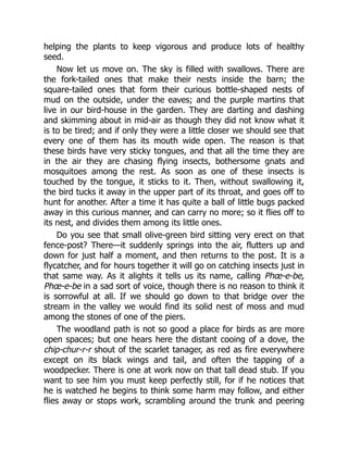 helping the plants to keep vigorous and produce lots of healthy
seed.
Now let us move on. The sky is filled with swallows. There are
the fork-tailed ones that make their nests inside the barn; the
square-tailed ones that form their curious bottle-shaped nests of
mud on the outside, under the eaves; and the purple martins that
live in our bird-house in the garden. They are darting and dashing
and skimming about in mid-air as though they did not know what it
is to be tired; and if only they were a little closer we should see that
every one of them has its mouth wide open. The reason is that
these birds have very sticky tongues, and that all the time they are
in the air they are chasing flying insects, bothersome gnats and
mosquitoes among the rest. As soon as one of these insects is
touched by the tongue, it sticks to it. Then, without swallowing it,
the bird tucks it away in the upper part of its throat, and goes off to
hunt for another. After a time it has quite a ball of little bugs packed
away in this curious manner, and can carry no more; so it flies off to
its nest, and divides them among its little ones.
Do you see that small olive-green bird sitting very erect on that
fence-post? There—it suddenly springs into the air, flutters up and
down for just half a moment, and then returns to the post. It is a
flycatcher, and for hours together it will go on catching insects just in
that same way. As it alights it tells us its name, calling Phœ-e-be,
Phœ-e-be in a sad sort of voice, though there is no reason to think it
is sorrowful at all. If we should go down to that bridge over the
stream in the valley we would find its solid nest of moss and mud
among the stones of one of the piers.
The woodland path is not so good a place for birds as are more
open spaces; but one hears here the distant cooing of a dove, the
chip-chur-r-r shout of the scarlet tanager, as red as fire everywhere
except on its black wings and tail, and often the tapping of a
woodpecker. There is one at work now on that tall dead stub. If you
want to see him you must keep perfectly still, for if he notices that
he is watched he begins to think some harm may follow, and either
flies away or stops work, scrambling around the trunk and peering
 