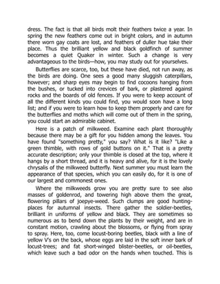 dress. The fact is that all birds molt their feathers twice a year. In
spring the new feathers come out in bright colors, and in autumn
there worn gay coats are lost, and feathers of duller hue take their
place. Thus the brilliant yellow and black goldfinch of summer
becomes a quiet Quaker in winter. Such a change is very
advantageous to the birds—how, you may study out for yourselves.
Butterflies are scarce, too, but these have died, not run away, as
the birds are doing. One sees a good many sluggish caterpillars,
however; and sharp eyes may begin to find cocoons hanging from
the bushes, or tucked into crevices of bark, or plastered against
rocks and the boards of old fences. If you were to keep account of
all the different kinds you could find, you would soon have a long
list; and if you were to learn how to keep them properly and care for
the butterflies and moths which will come out of them in the spring,
you could start an admirable cabinet.
Here is a patch of milkweed. Examine each plant thoroughly
because there may be a gift for you hidden among the leaves. You
have found "something pretty," you say? What is it like? "Like a
green thimble, with rows of gold buttons on it." That is a pretty
accurate description; only your thimble is closed at the top, where it
hangs by a short thread, and it is heavy and alive, for it is the lovely
chrysalis of the milkweed butterfly. Next summer you must learn the
appearance of that species, which you can easily do, for it is one of
our largest and commonest ones.
Where the milkweeds grow you are pretty sure to see also
masses of goldenrod, and towering high above them the great,
flowering pillars of joepye-weed. Such clumps are good hunting-
places for autumnal insects. There gather the soldier-beetles,
brilliant in uniforms of yellow and black. They are sometimes so
numerous as to bend down the plants by their weight, and are in
constant motion, crawling about the blossoms, or flying from spray
to spray. Here, too, come locust-boring beetles, black with a line of
yellow V's on the back, whose eggs are laid in the soft inner bark of
locust-trees; and fat short-winged blister-beetles, or oil-beetles,
which leave such a bad odor on the hands when touched. This is
 