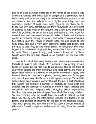due to an acrid oil which oozes out of the joints of the beetle's legs
when it is handled and thinks itself in danger. It is a protection, for it
both smells and tastes so nasty that no bird will ever attempt to eat
an oil-beetle. And its body is so very big because it lays such an
enormous number of eggs. How many eggs do you think an oil-
beetle will lay? Why, something like thirty thousand! She lays them
in batches in little holes in the ground, and a few days afterward a
tiny little grub hatches out of each egg, and begins to hunt about for
some flower that bees are likely to visit. When it finds one, it climbs
up the stem, hides among the petals, and waits. Then as soon as a
bee settles upon the flower it springs upon her and clings to her
hairy body. The bee is very busy collecting nectar and pollen, and
the grub is very tiny; so she never seems to notice that the long-
legged little creature is clinging to her, and carries it back with her to
her nest. Then the grub lets go, and proceeds to eat all the "bee-
bread" which the bee had stored up so carefully for her own little
ones.
How is it that all the trees, bushes, and plants are covered with
threads of spider's silk, which often annoys us by getting on our
hands or faces? Let us help you to an answer. This is the time of
year when spiders are most numerous and most active; and many a
spider trails behind it a thread of gossamer wherever it goes, and
leaves it there. On many of the plants, bushes, trees, and fences you
may see, if you look closely, very small spiders resting. Those little
spiders have been taking a journey through the air—a sort of balloon
trip. During the summer a number of spiders, all living near one
another, had big families—a hundred or more in each. Perhaps you
noticed in July and August spiders dragging about large white
bundles: they were packets of eggs from which the young hatched.
So many coming into the world together made it difficult to find
food. So, one by one, the little spiders climbed low bushes or tall
plants, and perched themselves on the tips of the topmost leaves.
Then each poured out from the end of its body a slender thread of
silk, which floated straight up in the warm air rising from the heated
ground.
 