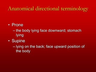 1586438642KINESIOLOGY_SHS_306_LECTURE_MODULE_1.ppt