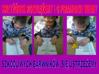 KRZYŻÓWKI ROZWIĄŻEMY I O PIRAMIDZIE WIEMY SZKODLIWYCH BARWNIKÓW  SIĘ USTRZEŻEMY 