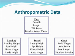 1587221874-antropometry.ppt