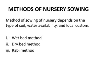 METHODS OF NURSERY SOWING
Method of sowing of nursery depends on the
type of soil, water availability, and local custom.
i. Wet bed method
ii. Dry bed method
iii. Rabi method
 