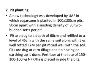 2. Pit planting
• A new technology was developed by UAF in
which sugarcane is planted in 100x100cm pits,
50cm apart with a seeding density of 30 two-
budded setts per pit.
• Pit are dug to a depth of 60cm and refilled to a
level of 45cm with the same soil along with 5kg
well rotted FYM per pit mixed well with the soil.
Pits are dug at zero tillage and no hoeing or
earthing up is done. Fertilizer at the rate of 150-
100-100 kg NPK/ha is placed in side the pits.
 